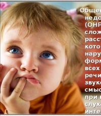 Characteristics of children with general speech underdevelopment Presentation for parents: what is onr